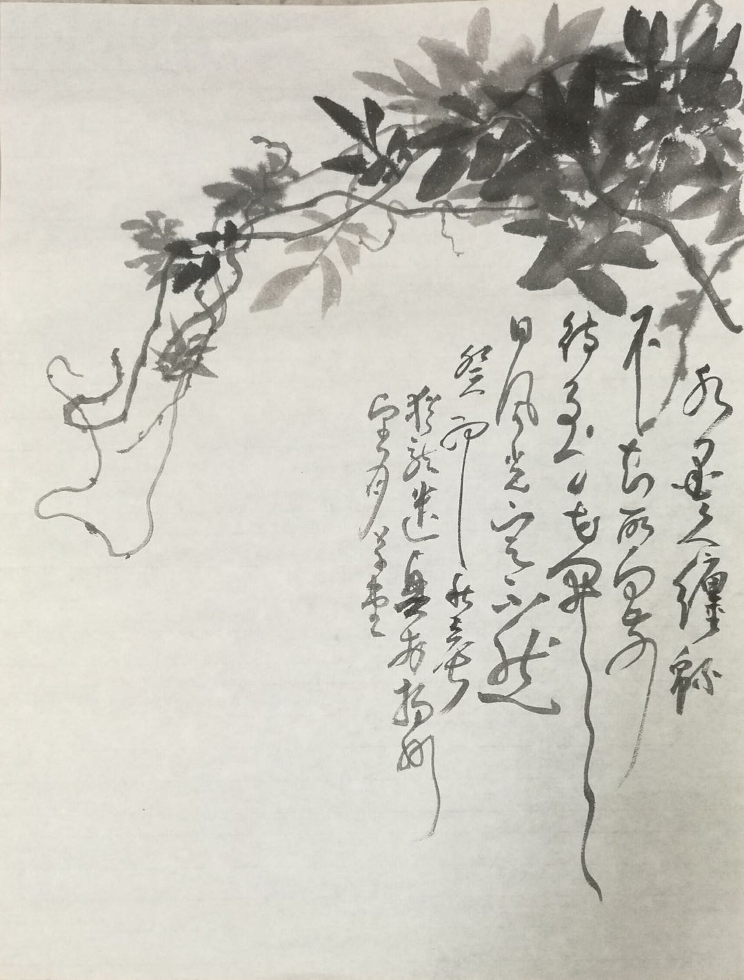 墨荷清韵