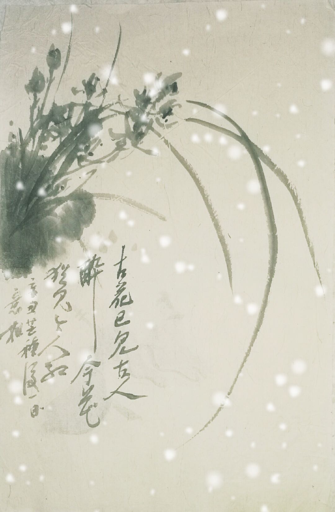 花卉小品